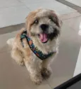 Fred