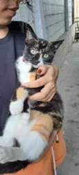 Suzie