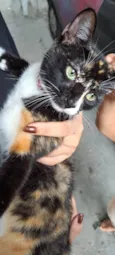 Suzie