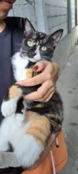 Suzie