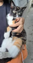 Suzie