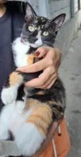 Suzie