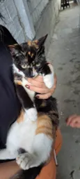Suzie