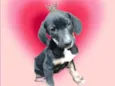 Nutella bb2meses porteP