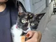 Suzie