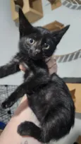Mia