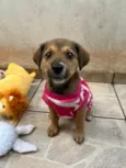 Minnie