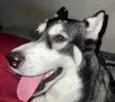 Zoe