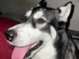 Zoe