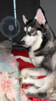 Zoe