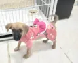 Caramela