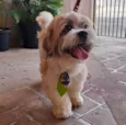 Fred