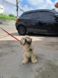 Fred
