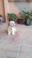 Fred