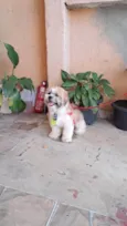 Fred