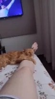 Julio