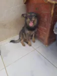 Juliano