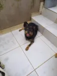 Juliano