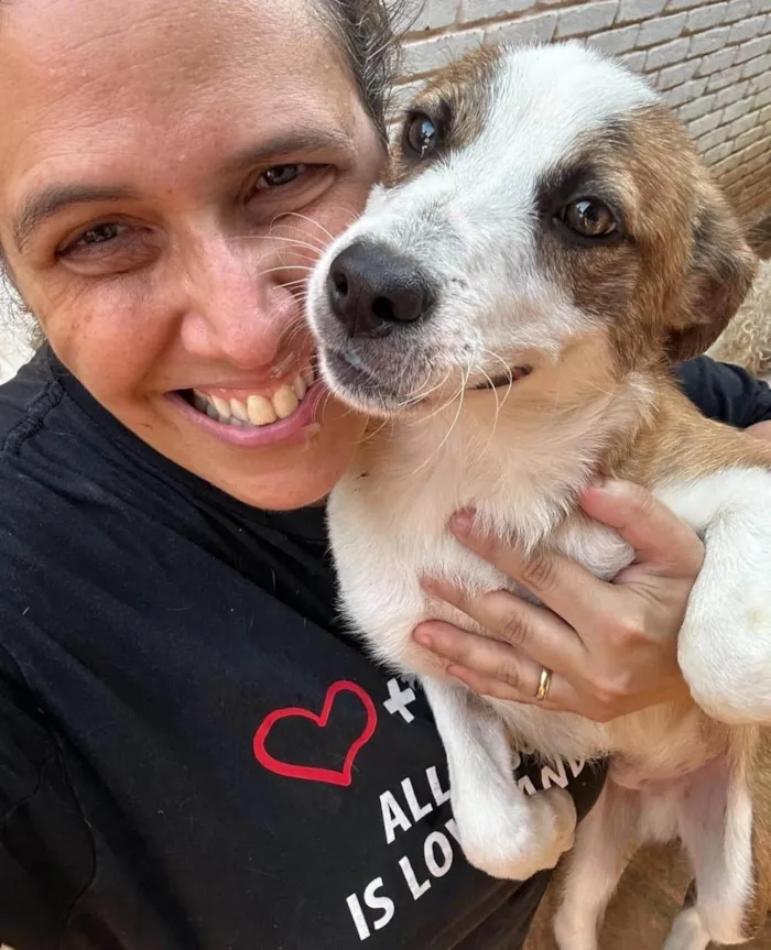 Cachorro ra a SRD-ViraLata idade 1 ano nome Derek
