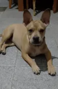 Tom
