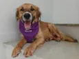 Kadu