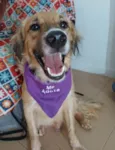 Kadu