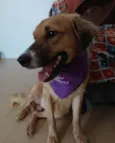 Kadu