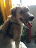 Kadu