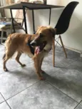 Kadu