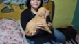 Sem nome