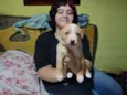 Sem nome