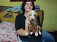 Sem nome