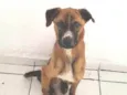 Kobe