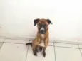 Kobe