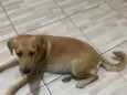 Princesa