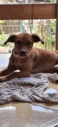 Juninho