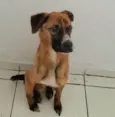 Kobe