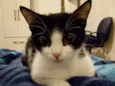 Kiara