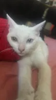 Fiona