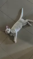 Fiona
