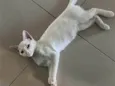 Fiona