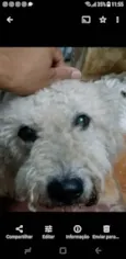 Lucas