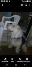Lucas