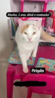 Pirikito
