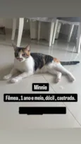 Minnie