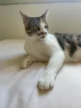 Minnie