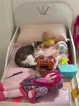Minnie