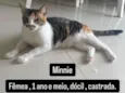 Minnie