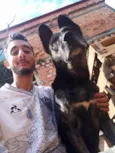 CUJO