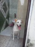 Fofinha